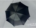 Корпоратвные сувениры и подарки в розницу и оптом Зонт мужской с логотипом