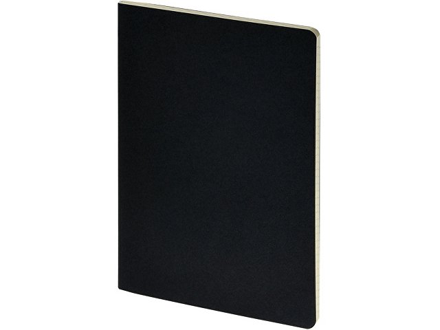 Бизнес тетрадь А5 Pragmatic