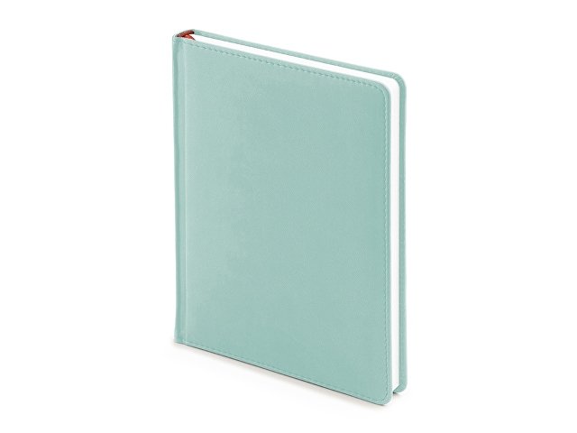 Ежедневник недатированный А6+ Velvet