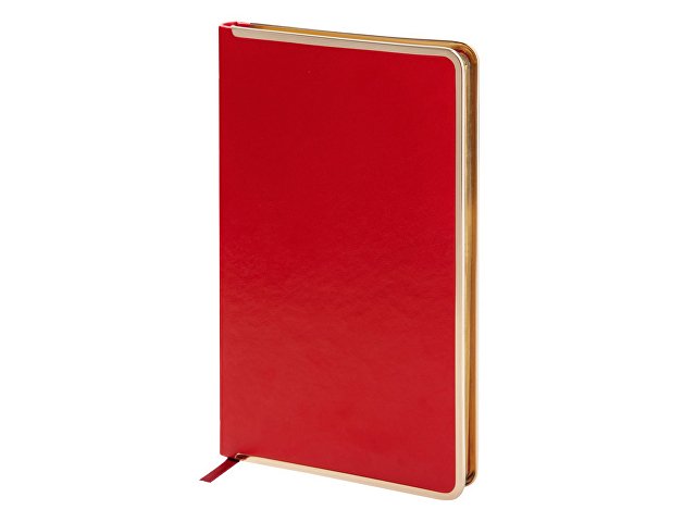 Ежедневник недатированный А5 Chelsea