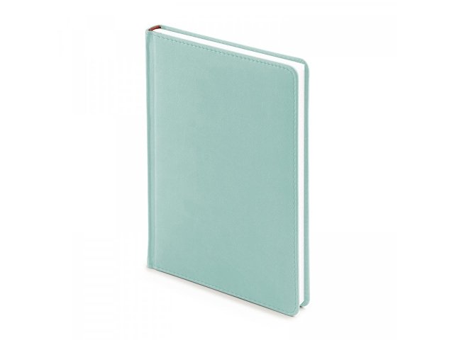 Ежедневник недатированный А5 Velvet