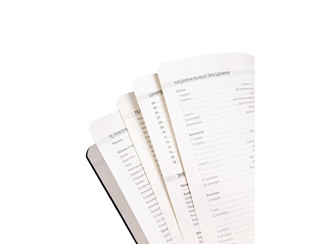 Ежедневник недатированный А5 Megapolis Flex